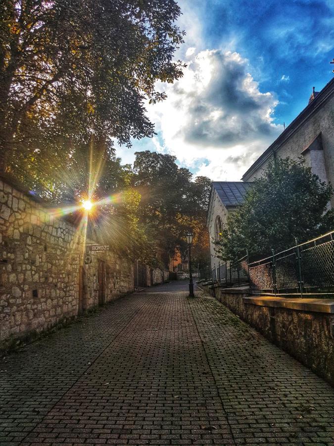 Apartmán Antaloczy Vendeghaz Tokaj Exteriér fotografie